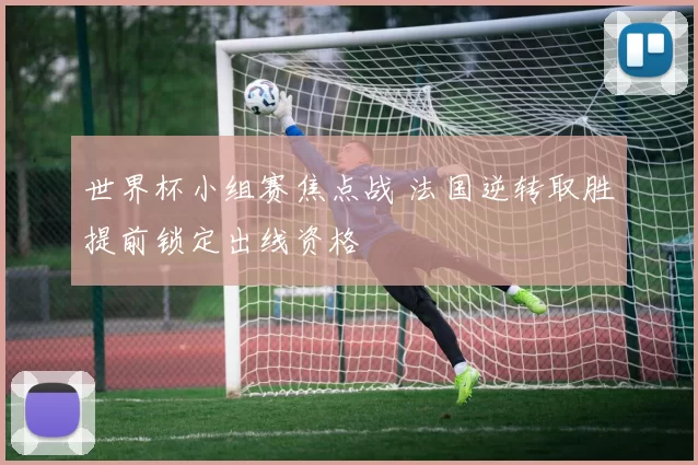 世界杯小组赛焦点战 法国逆转取胜提前锁定出线资格