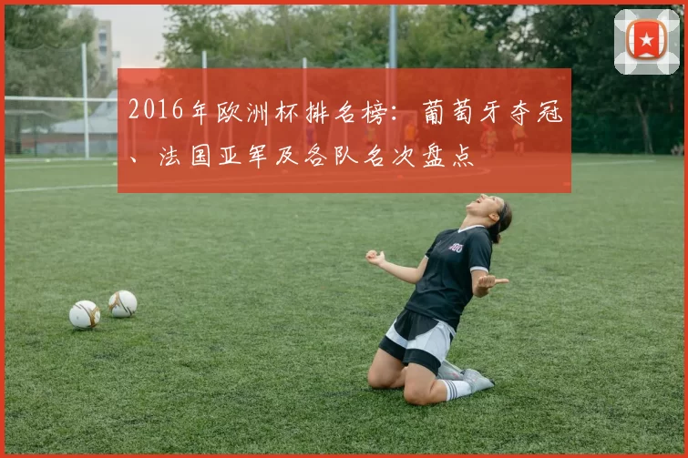 2016年欧洲杯排名榜：葡萄牙夺冠、法国亚军及各队名次盘点