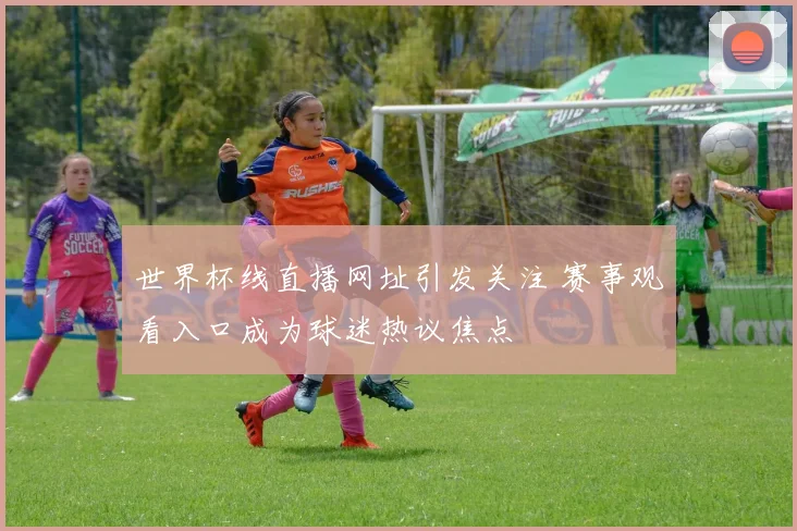 世界杯线直播网址引发关注 赛事观看入口成为球迷热议焦点