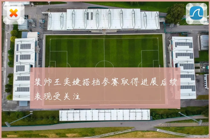 裴帅王奕婕搭档参赛取得进展后续表现受关注